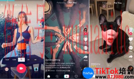 tiktok账号购买平台