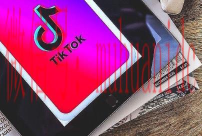 tiktok账号购买平台