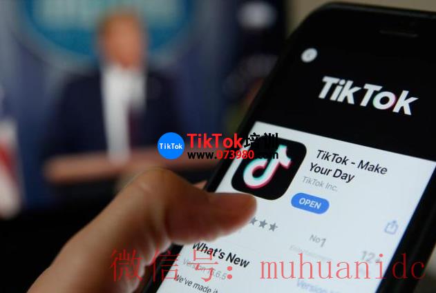 tiktok账号购买平台