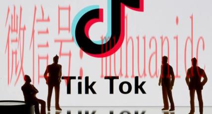 tiktok账号购买平台