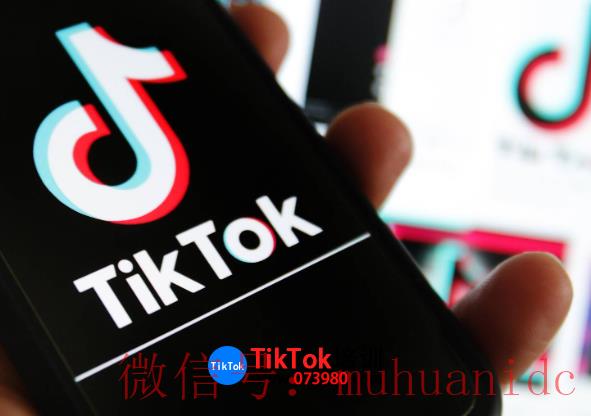 tiktok账号购买平台