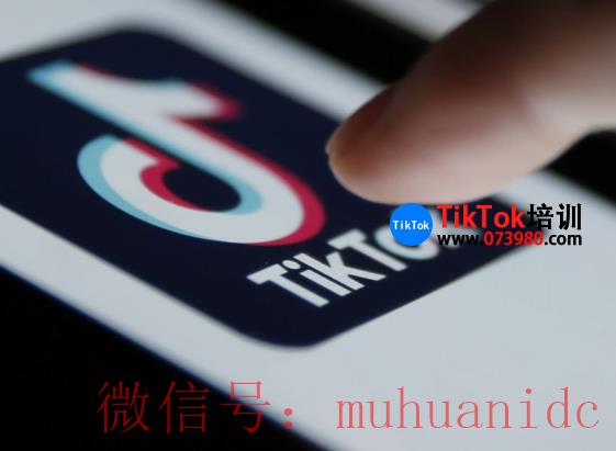 tiktok账号购买平台