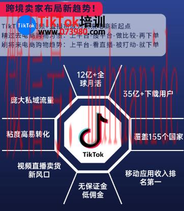 tiktok账号购买平台
