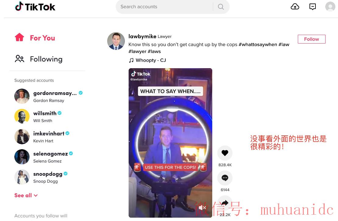 tiktok账号购买平台