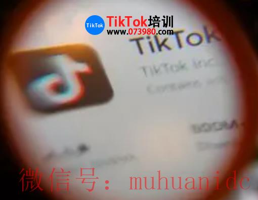 tiktok账号购买平台