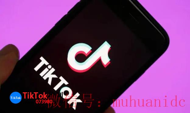 tiktok账号购买平台