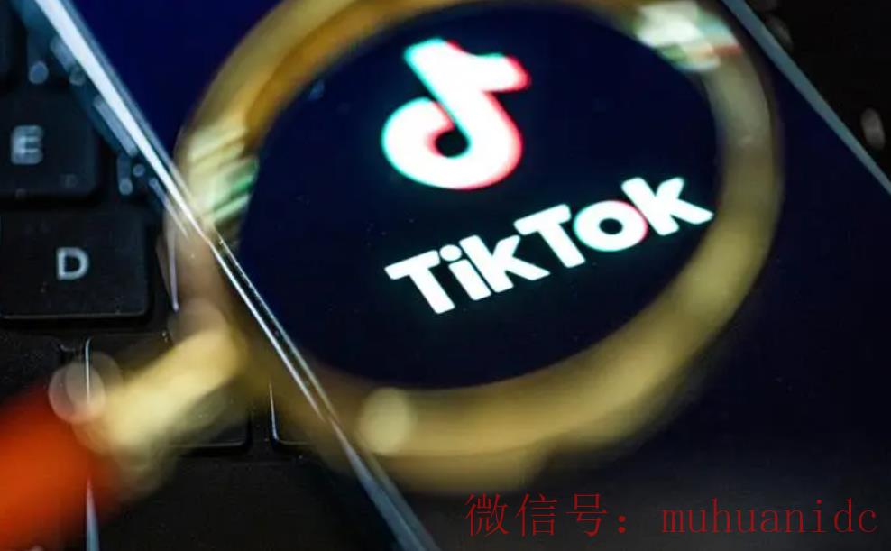tiktok账号购买平台