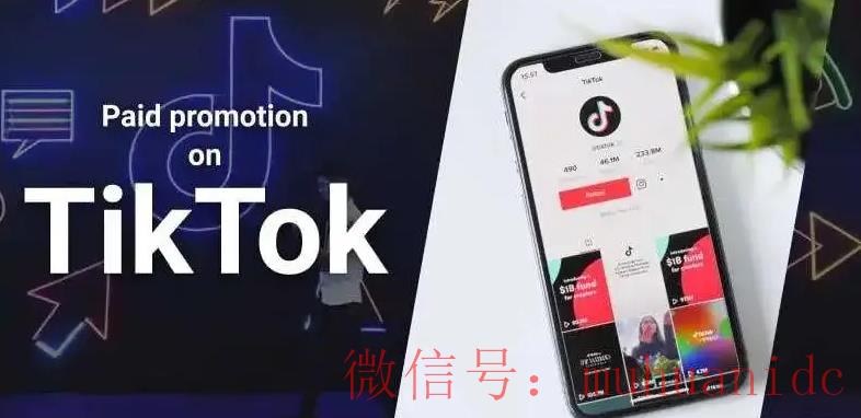 tiktok账号购买平台