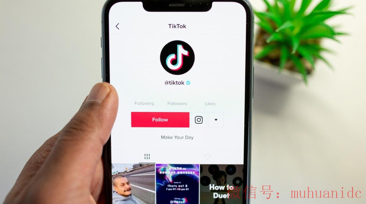 tiktok账号购买平台
