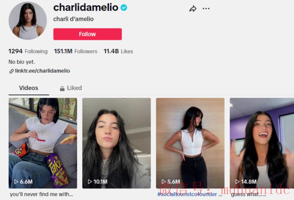 tiktok账号购买平台