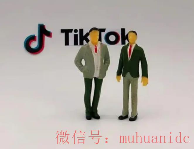 tiktok账号购买平台