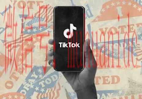 tiktok账号购买平台