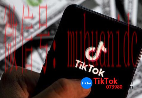 tiktok账号购买平台