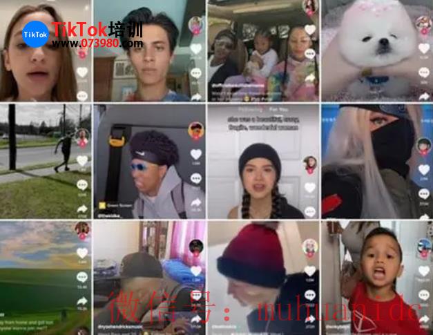 tiktok账号购买平台