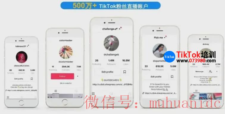 tiktok账号购买平台