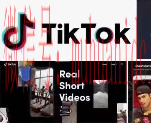 tiktok账号购买平台