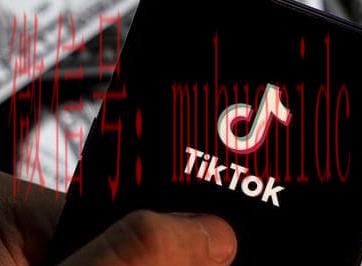 tiktok账号购买平台