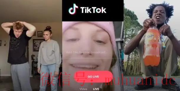 tiktok账号购买平台