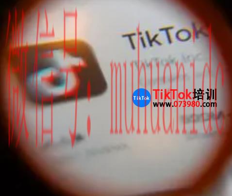 tiktok账号购买平台