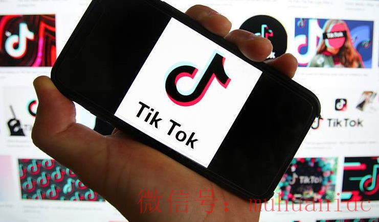 tiktok账号购买平台