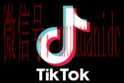 tiktok账号购买平台