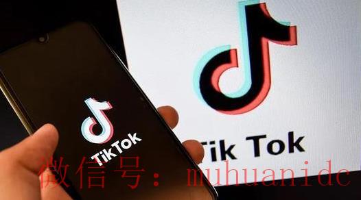 tiktok账号购买平台
