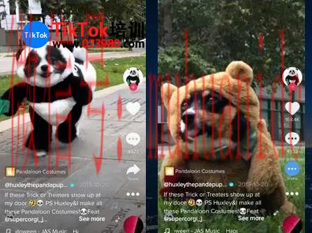 tiktok账号购买平台