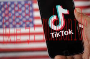 tiktok账号购买平台