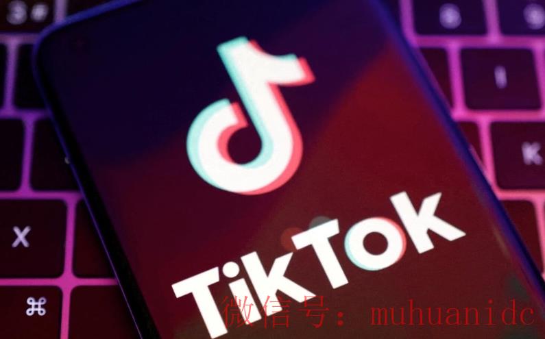 tiktok账号购买平台