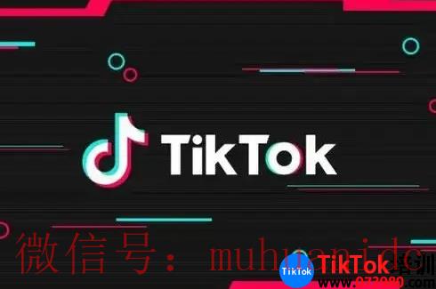 tiktok账号购买平台