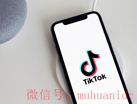 tiktok账号购买平台
