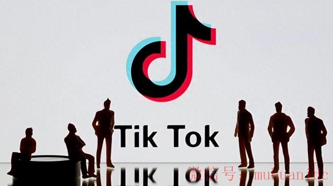 tiktok账号购买平台