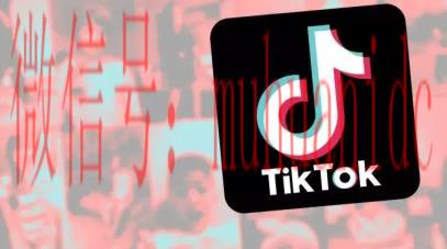 tiktok账号购买平台