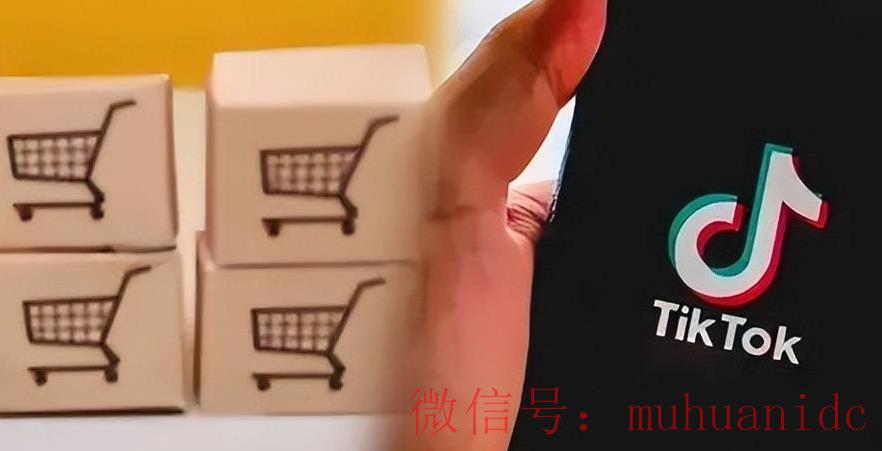 tiktok账号购买平台