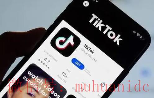 tiktok账号购买平台
