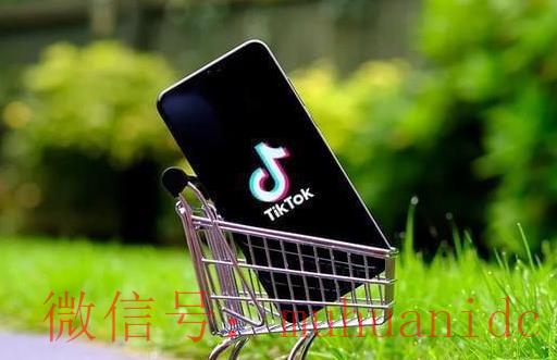 tiktok账号购买平台