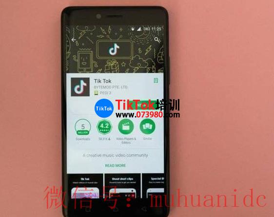 tiktok账号购买平台