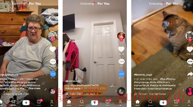 tiktok账号购买平台