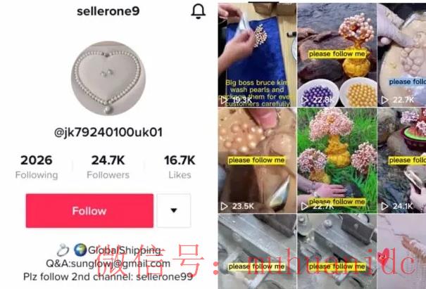 tiktok账号购买平台