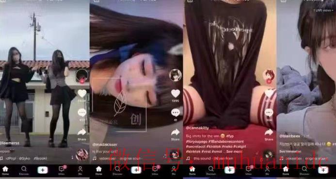 tiktok账号购买平台