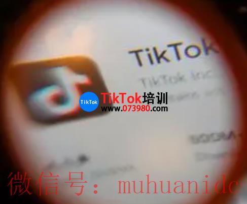 tiktok账号购买平台