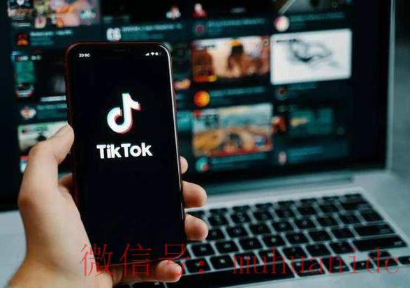 tiktok账号购买平台