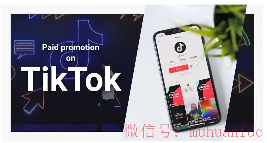 tiktok账号购买平台