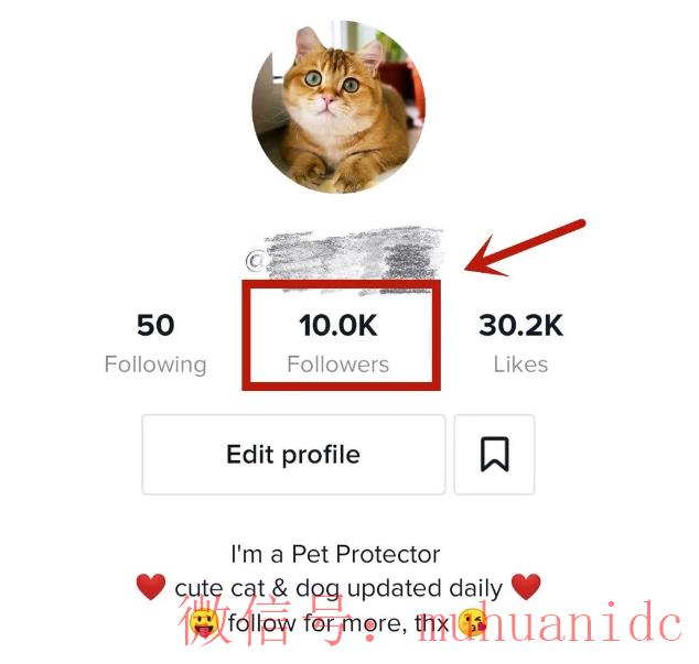 tiktok账号购买平台