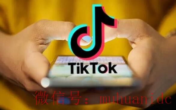 tiktok账号购买平台