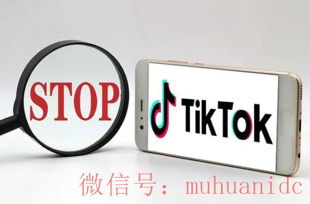 tiktok账号购买平台