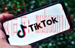 tiktok账号购买平台