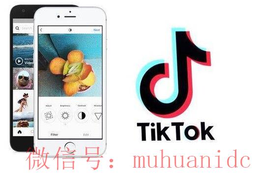 tiktok账号购买平台