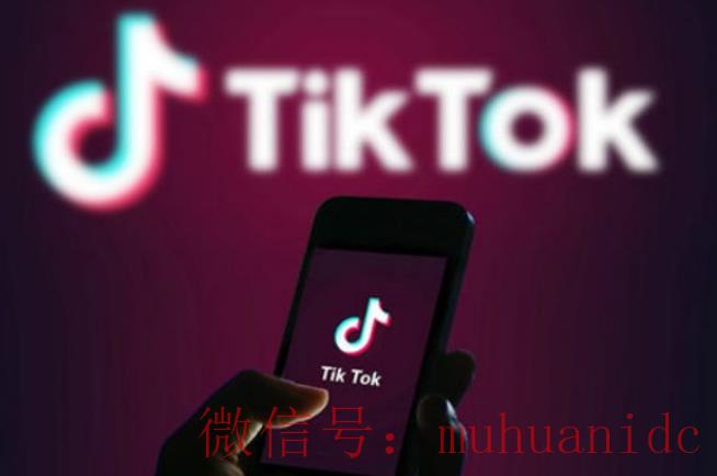tiktok账号购买平台