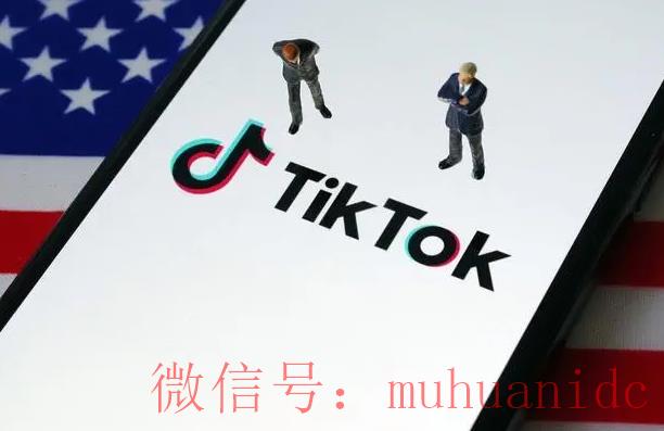 tiktok账号购买平台